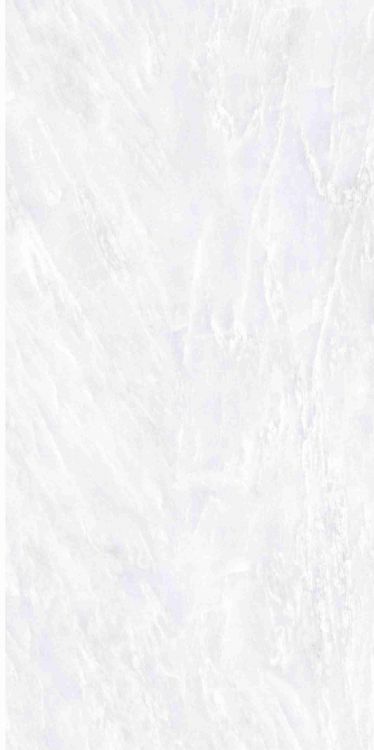 OL Vivid White Matte 12 x 24